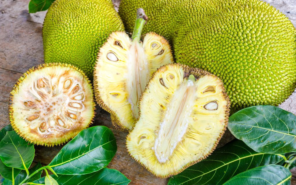Green jackfruit curry