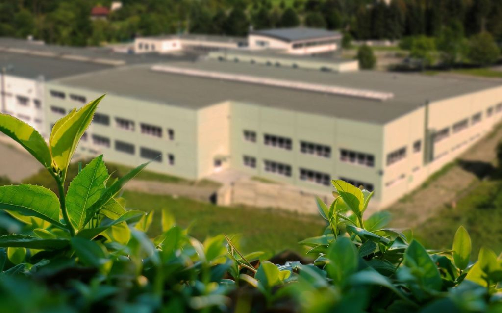 Retigo leading the way with Scope 3 emissions results