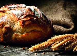 ALTAMURA BREAD